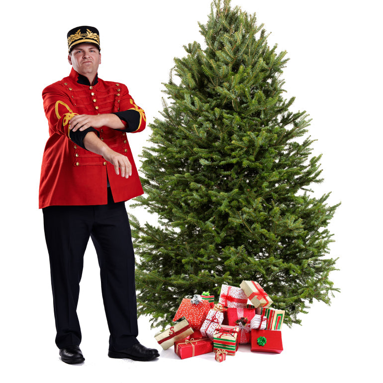 Sapin de Noël Baumier