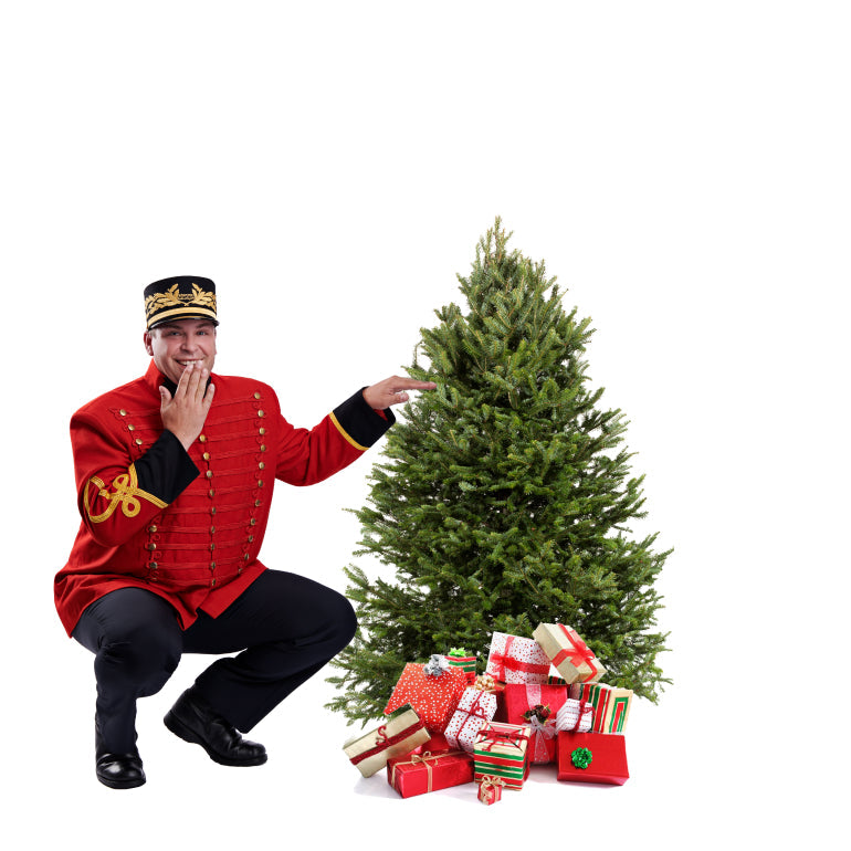 Sapin de Noël Baumier