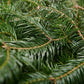 Sapin de Noël Baumier
