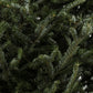 Fraser Christmas tree