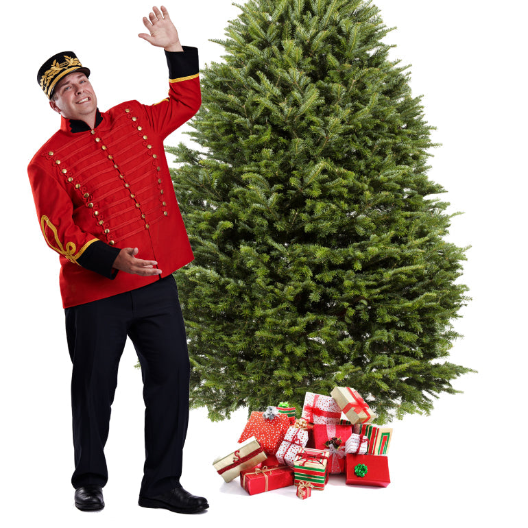 Sapin de Noël Baumier