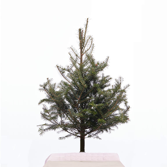 Sapin de Noël de table – 3 pieds