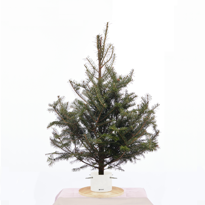 Sapin de Noël de table – 3 pieds